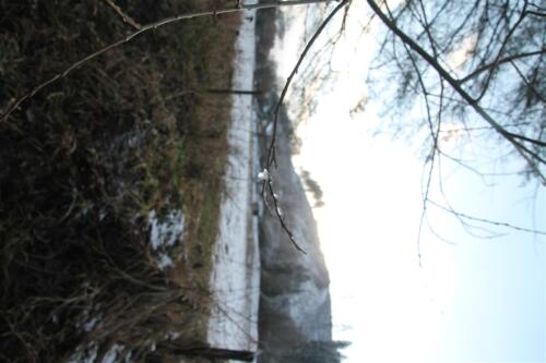 IMG 6679